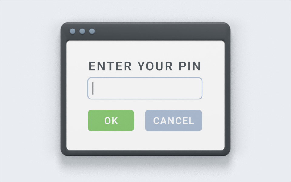 PIN input